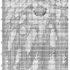 № 459 Филин на ветке 47-3174-НФ схема ук