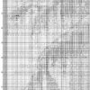 № 282 Летний день в лесу 60-6141-НЛ схем